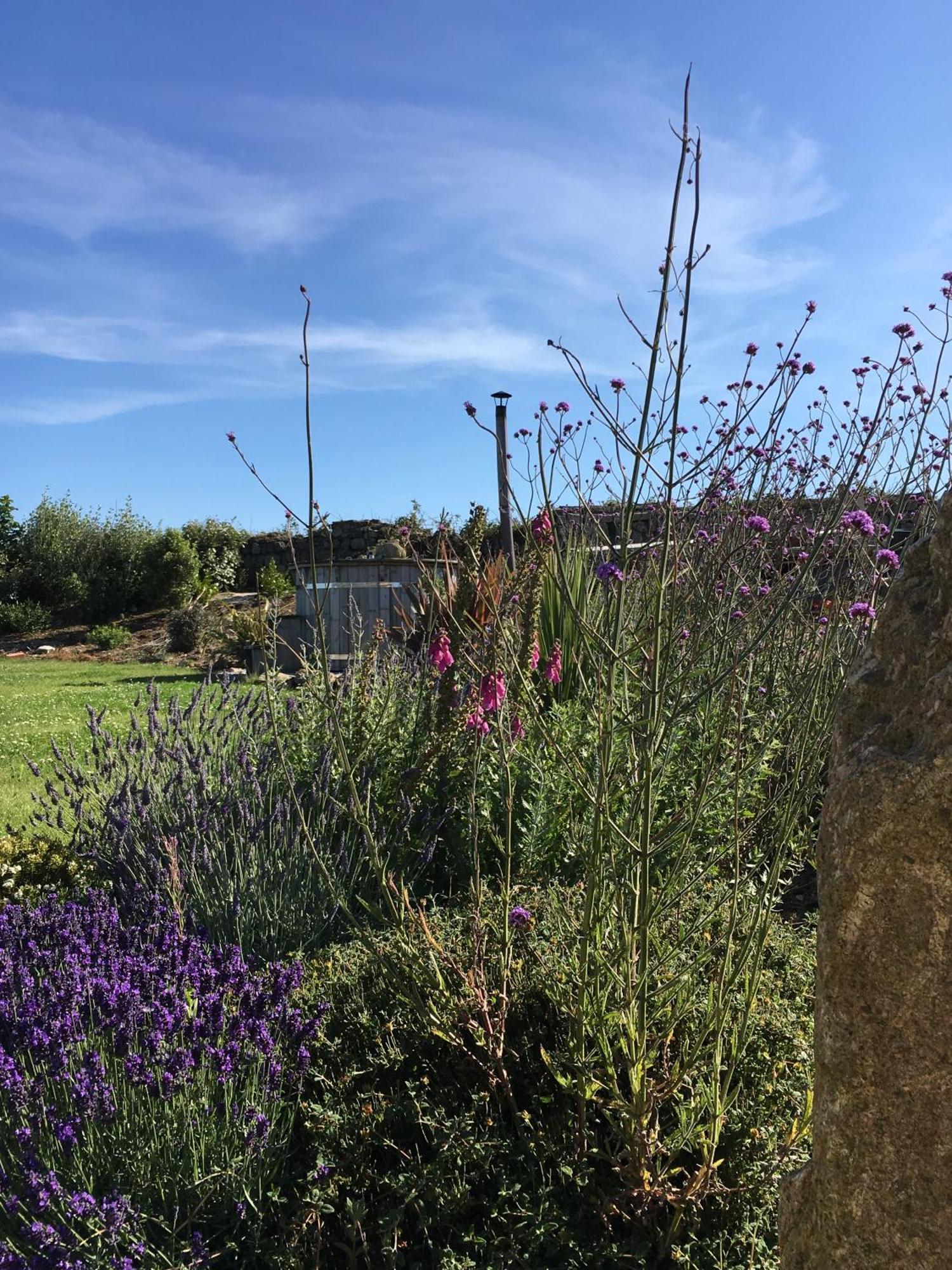 Trengothal Barn Apartment Porthcurno Bagian luar foto