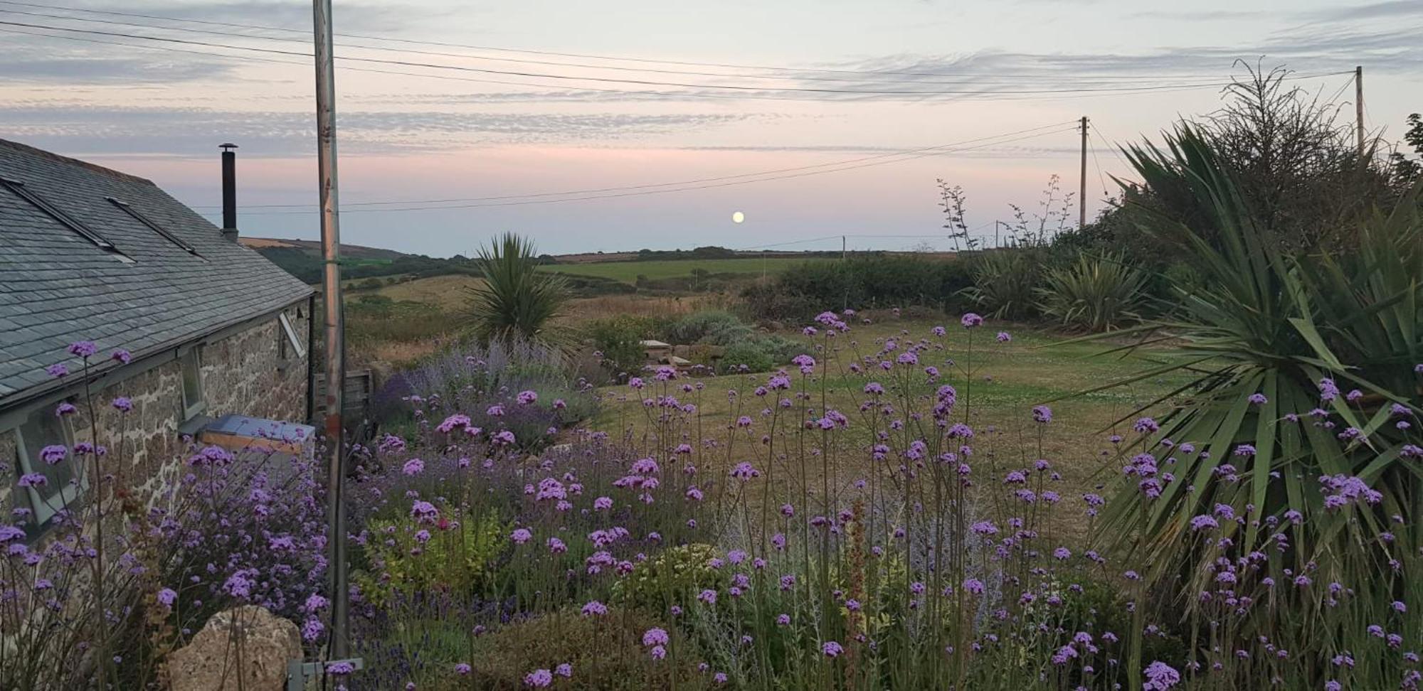 Trengothal Barn Apartment Porthcurno Bagian luar foto