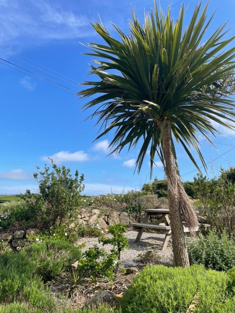 Trengothal Barn Apartment Porthcurno Bagian luar foto